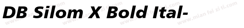 DB Silom X Bold Ital字体转换